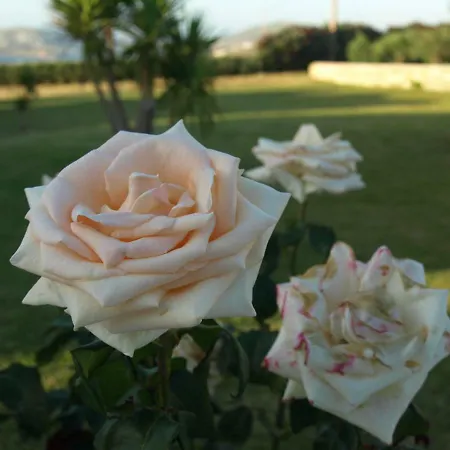 Appart hôtel Fragoulis Village